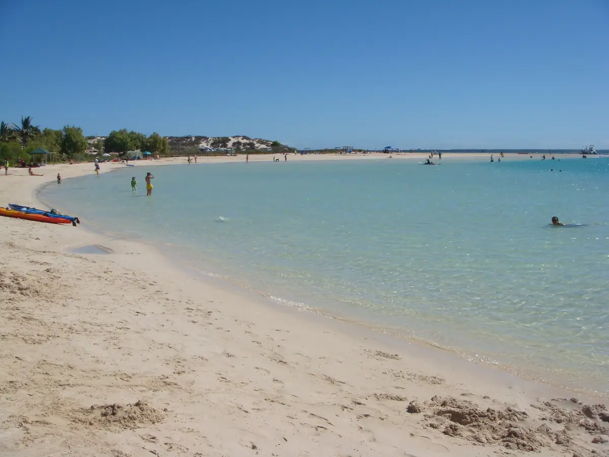 Swimmers in the shallow turquoise water of Coral Bay