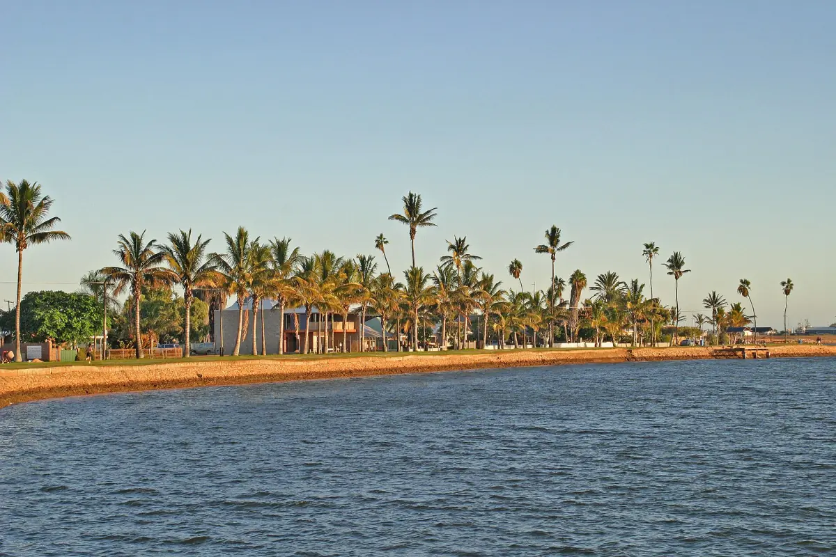 Palms along the foreshore of Coral Bay