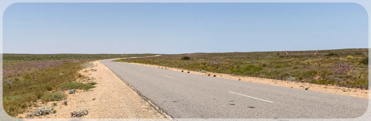 The Minilya-Exmouth Road near Coral Bay